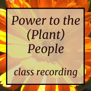 Power to the (Plant) People